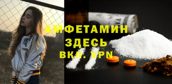 ECSTASY Ельня