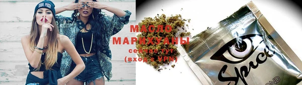 ECSTASY Ельня