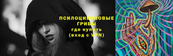 spice Елизово