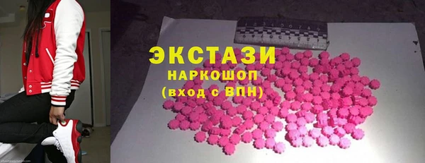 ECSTASY Ельня