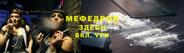 ECSTASY Ельня