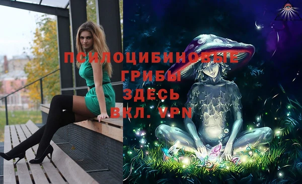 дурь Елабуга