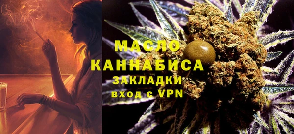 ECSTASY Ельня