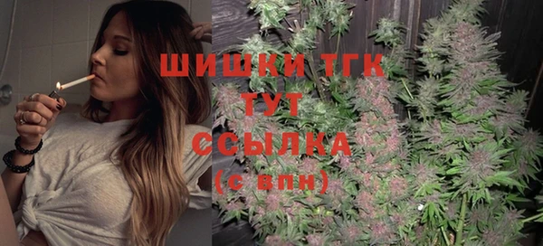 spice Елизово