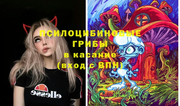 spice Елизово