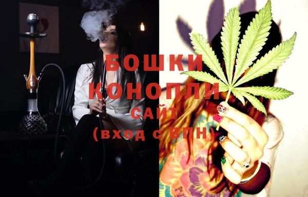 ECSTASY Ельня