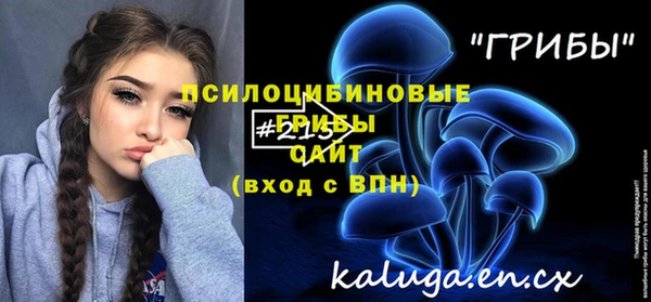 ECSTASY Ельня