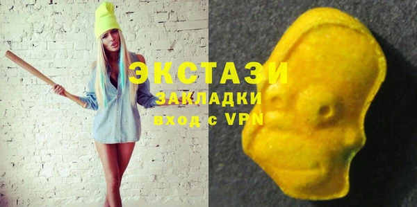 ECSTASY Ельня