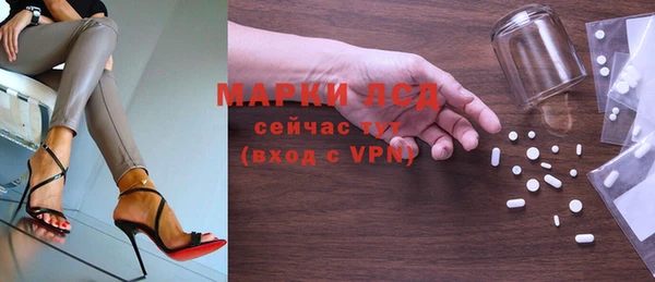 spice Елизово