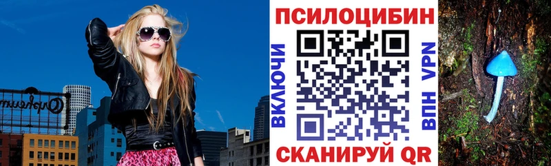 Галлюциногенные грибы MAGIC MUSHROOMS  Купить где  Козьмодемьянск 
